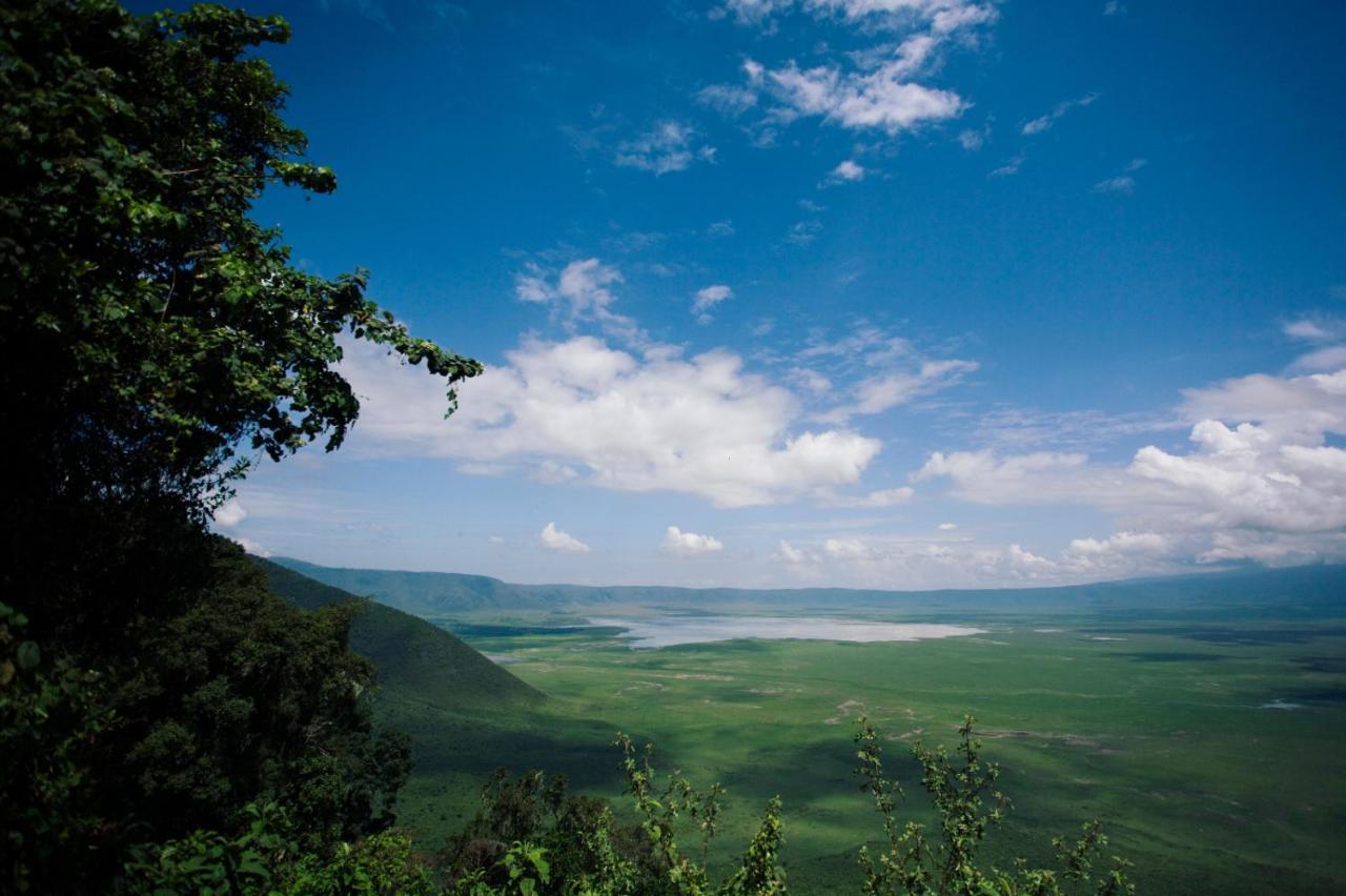 Charming Eco-Homestay Near Kilimanjaro International Airport Arusha Ngoại thất bức ảnh