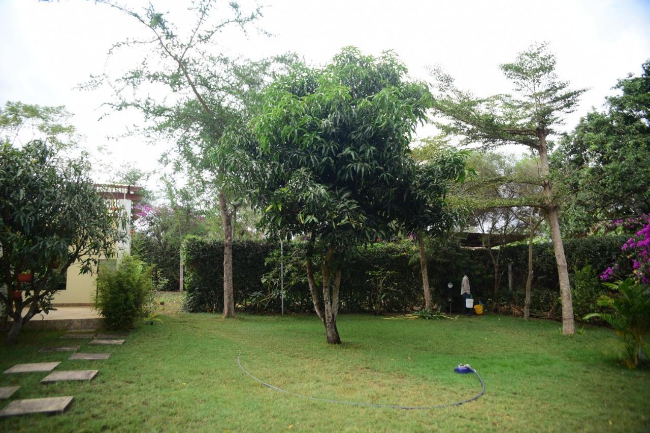 Charming Eco-Homestay Near Kilimanjaro International Airport Arusha Ngoại thất bức ảnh